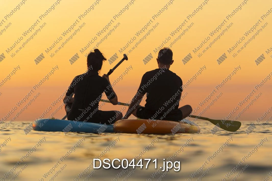 DSC04471.jpg