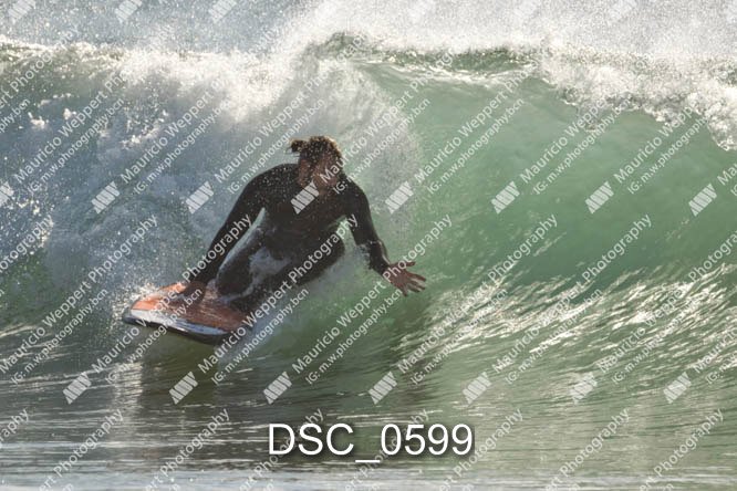 DSC_0599.jpg