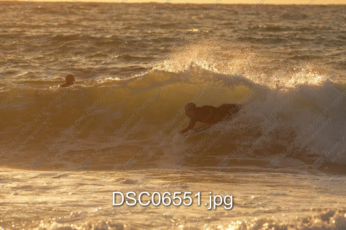 DSC06551.jpg