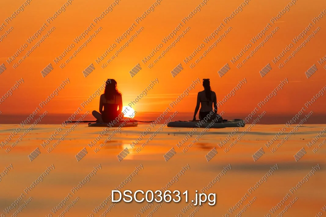DSC03631.jpg