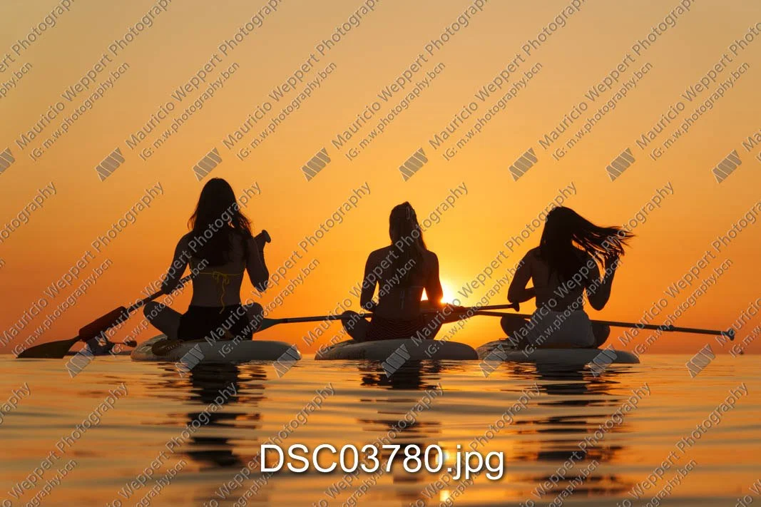 DSC03780.jpg