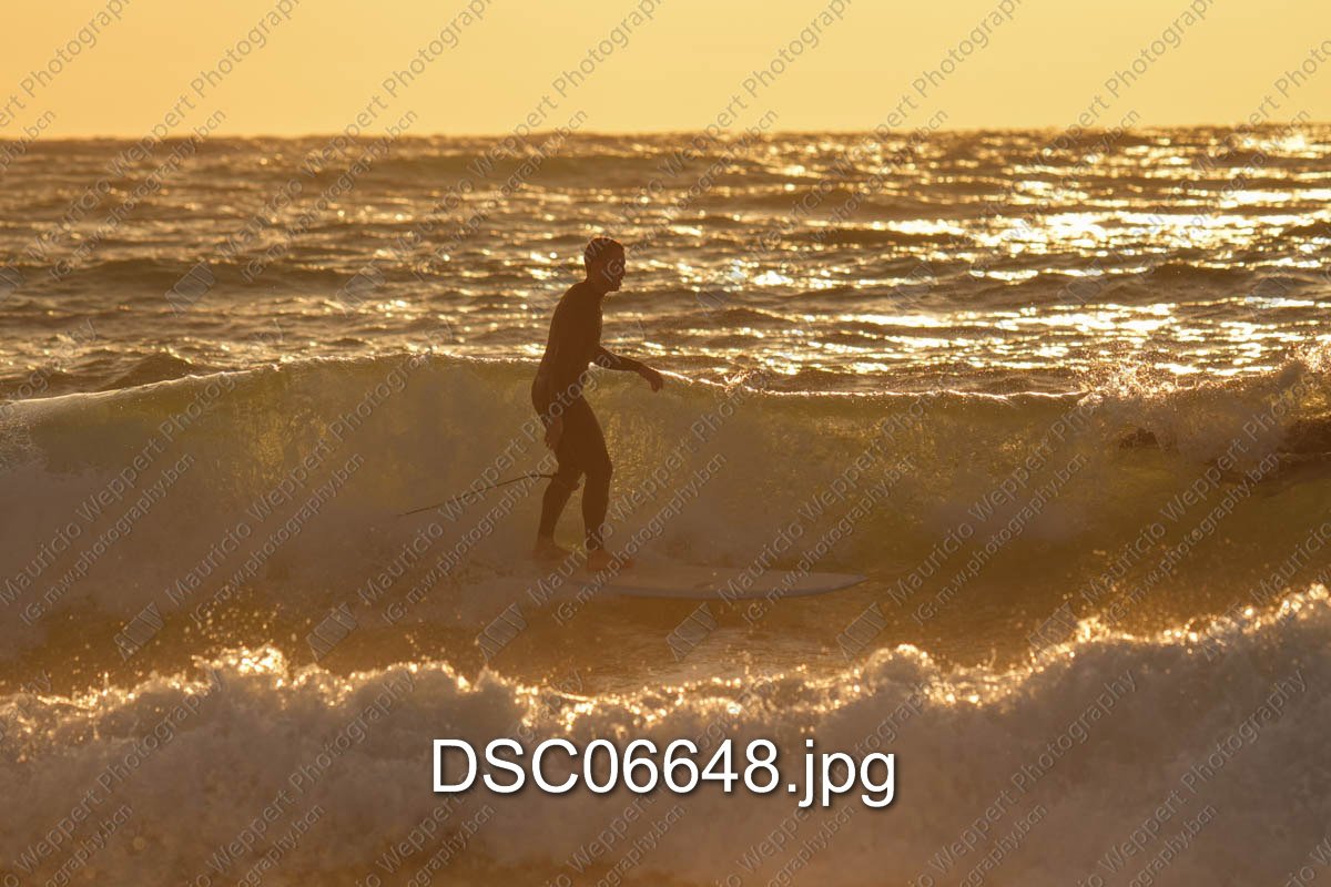 DSC06648.jpg