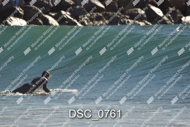 DSC_0761.jpg