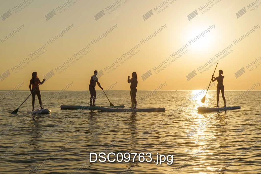 DSC09763.jpg