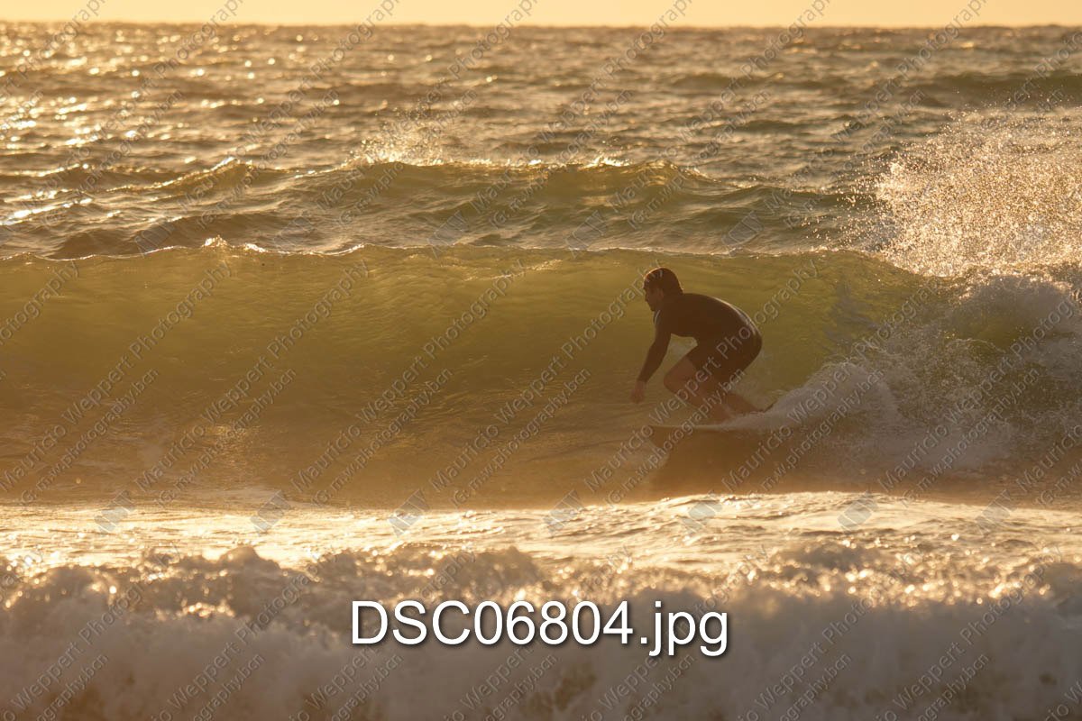 DSC06804.jpg