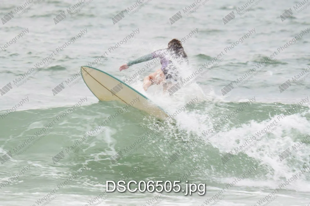 DSC06505.jpg