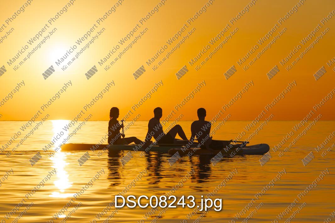 DSC08243.jpg
