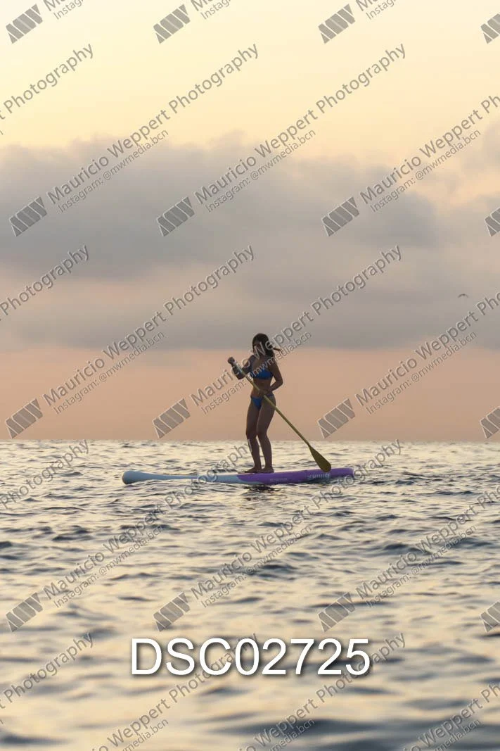 DSC02725.jpg