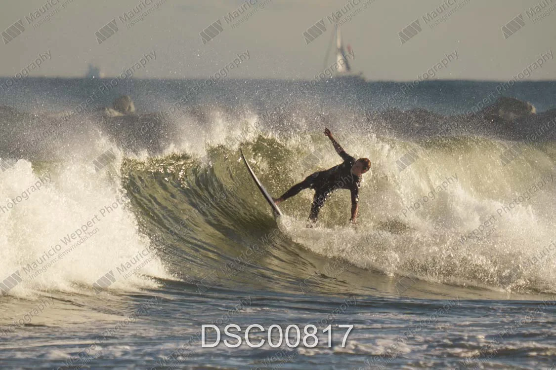 DSC00817.jpg