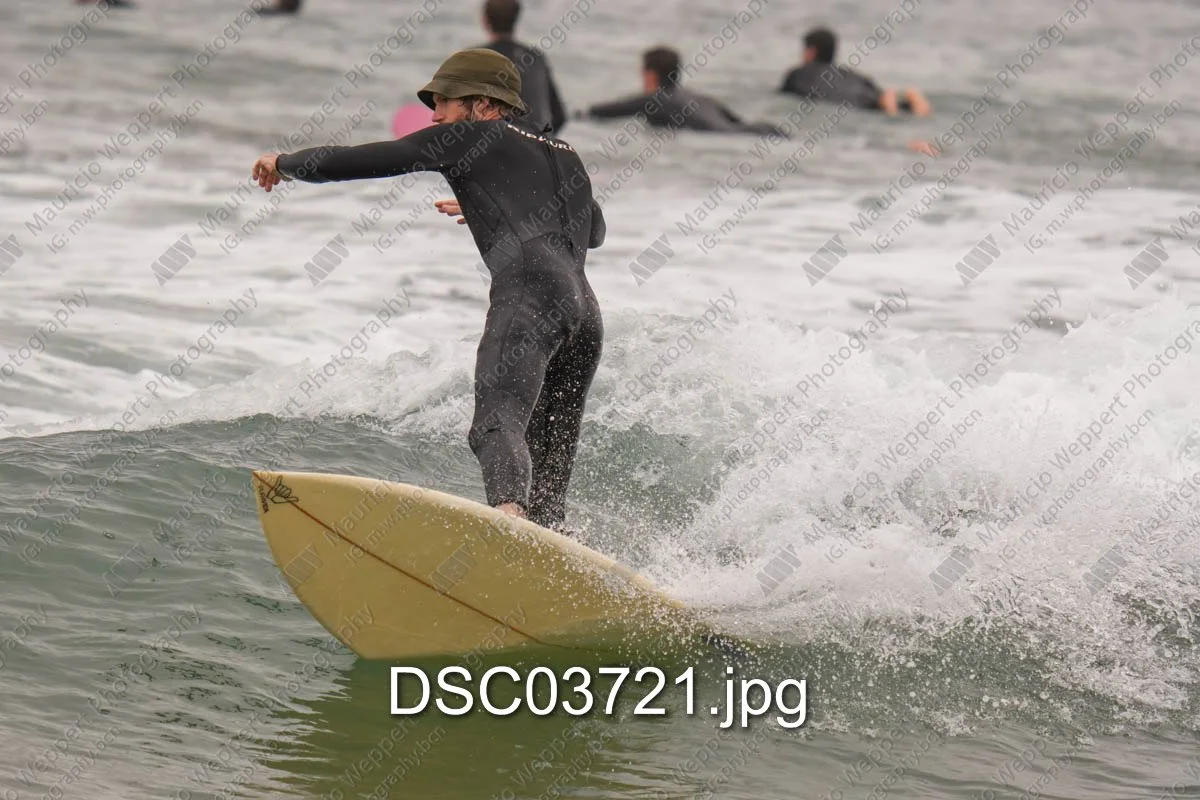 DSC03721.jpg