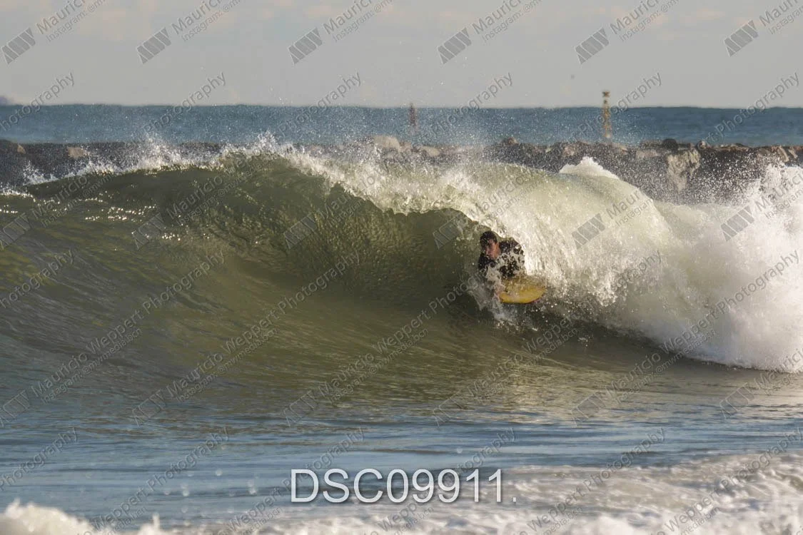 DSC09911.jpg
