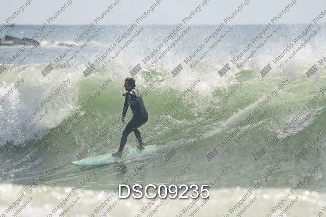 DSC09235.jpg