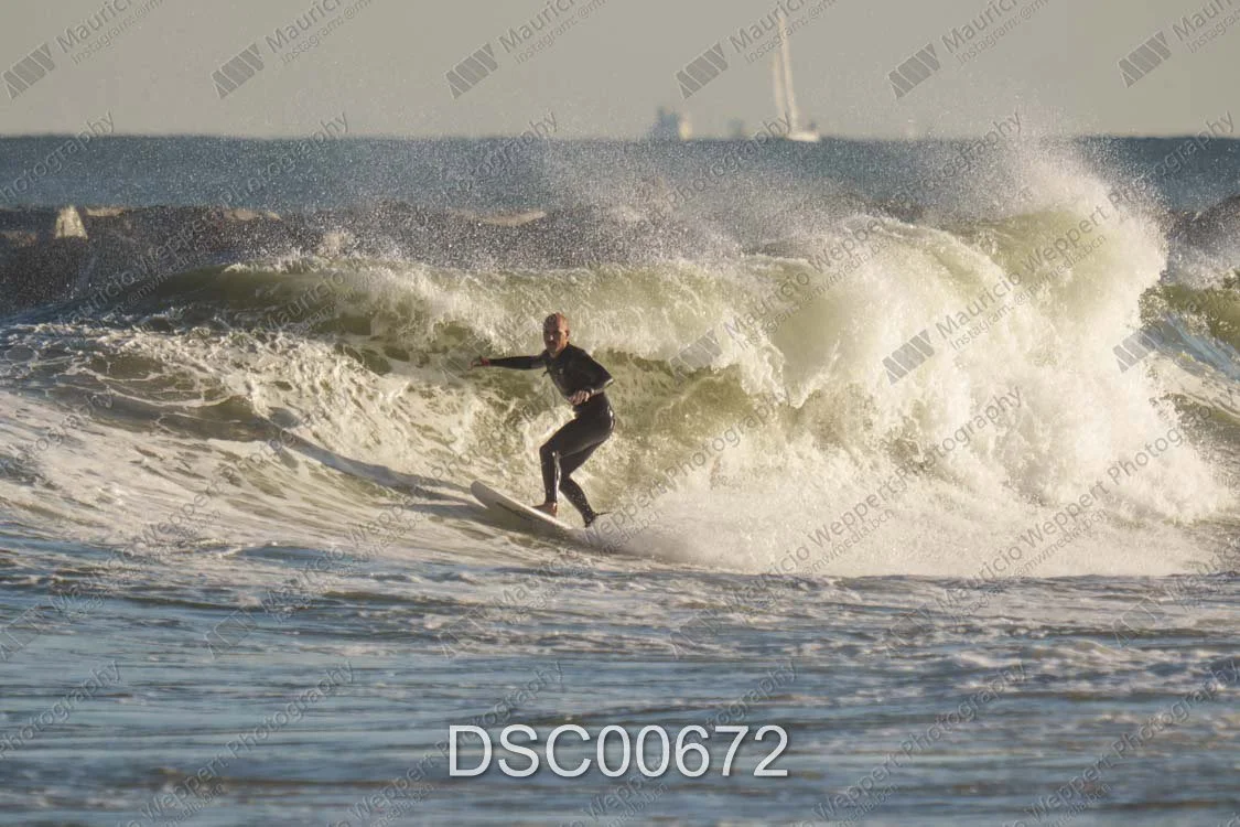DSC00672.jpg