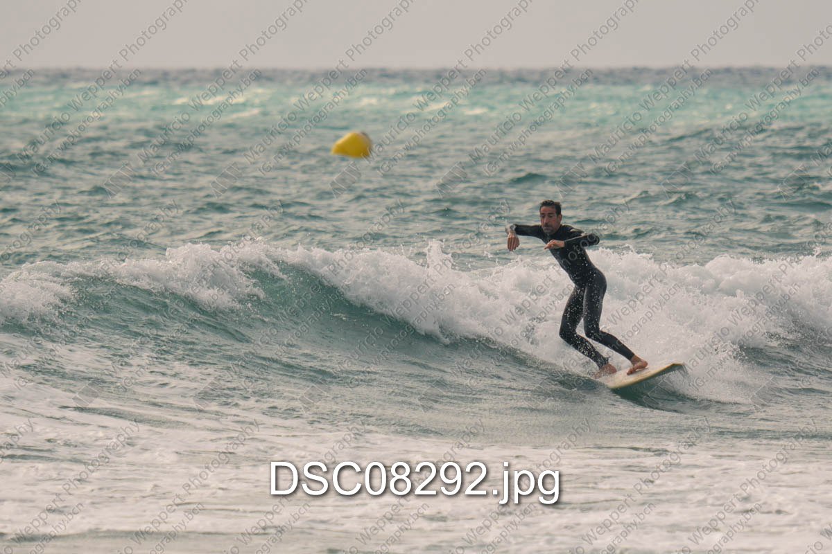DSC08292.jpg