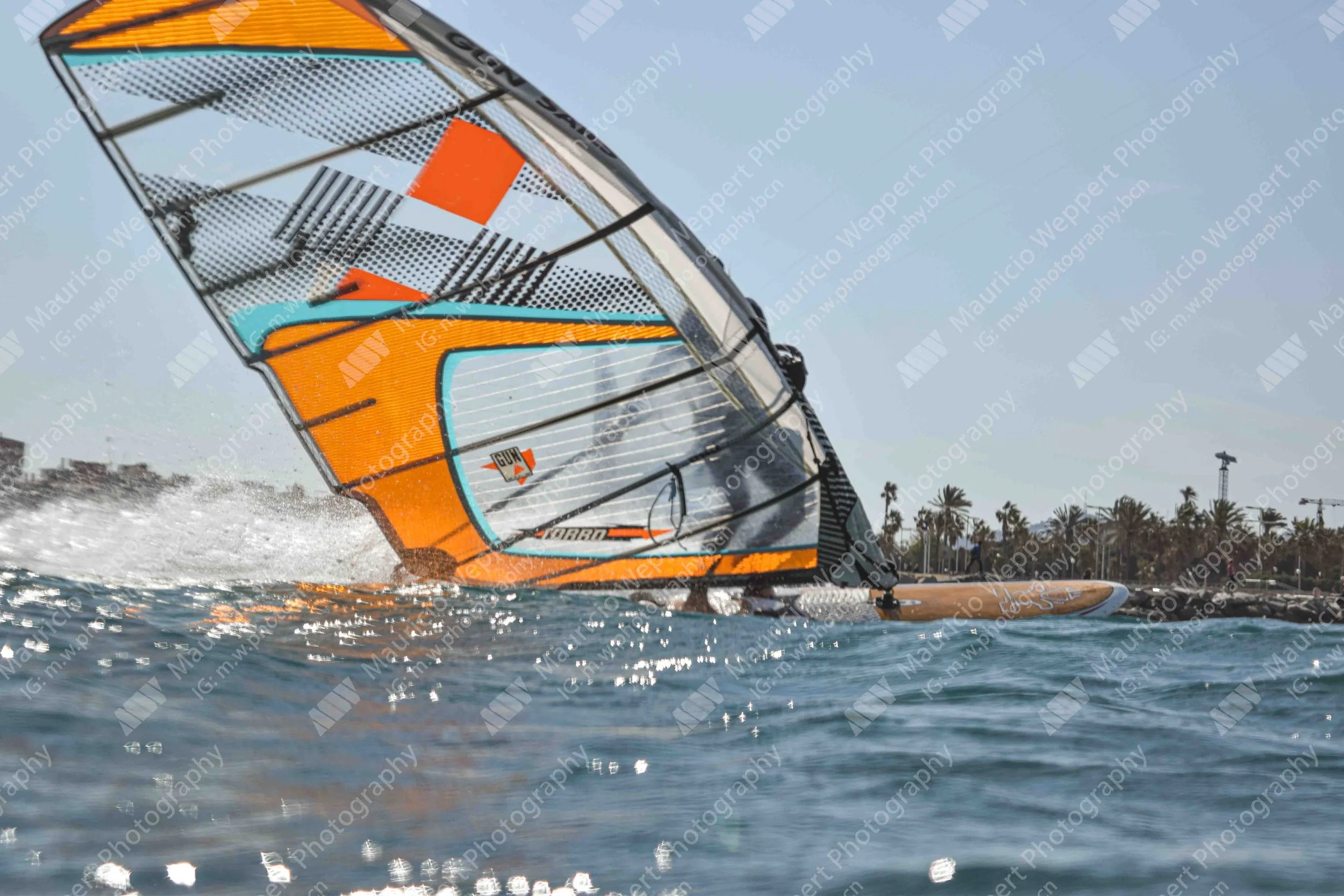 DSC_3042.jpg