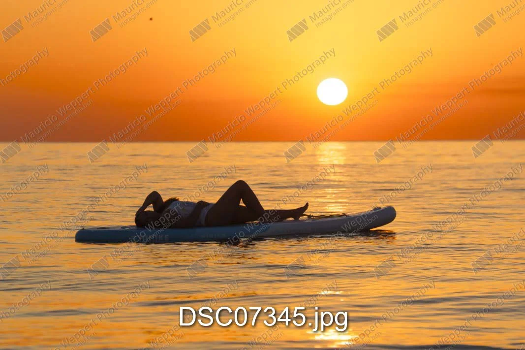 DSC07345.jpg