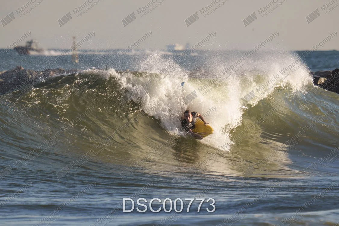 DSC00773.jpg