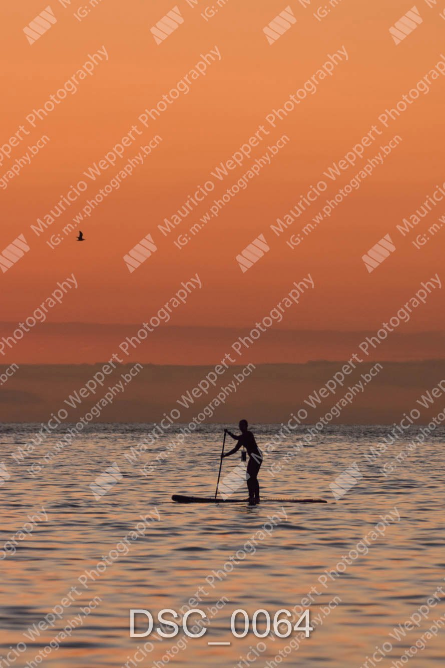 DSC_0064.jpg