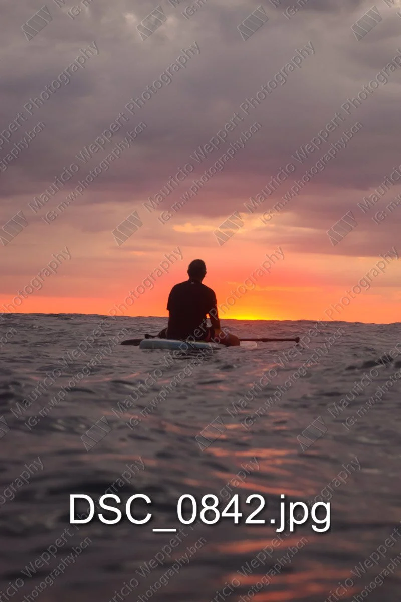 DSC_0842.jpg