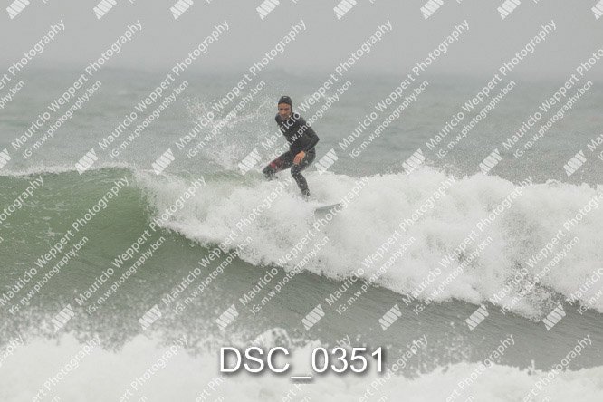 DSC_0351.jpg