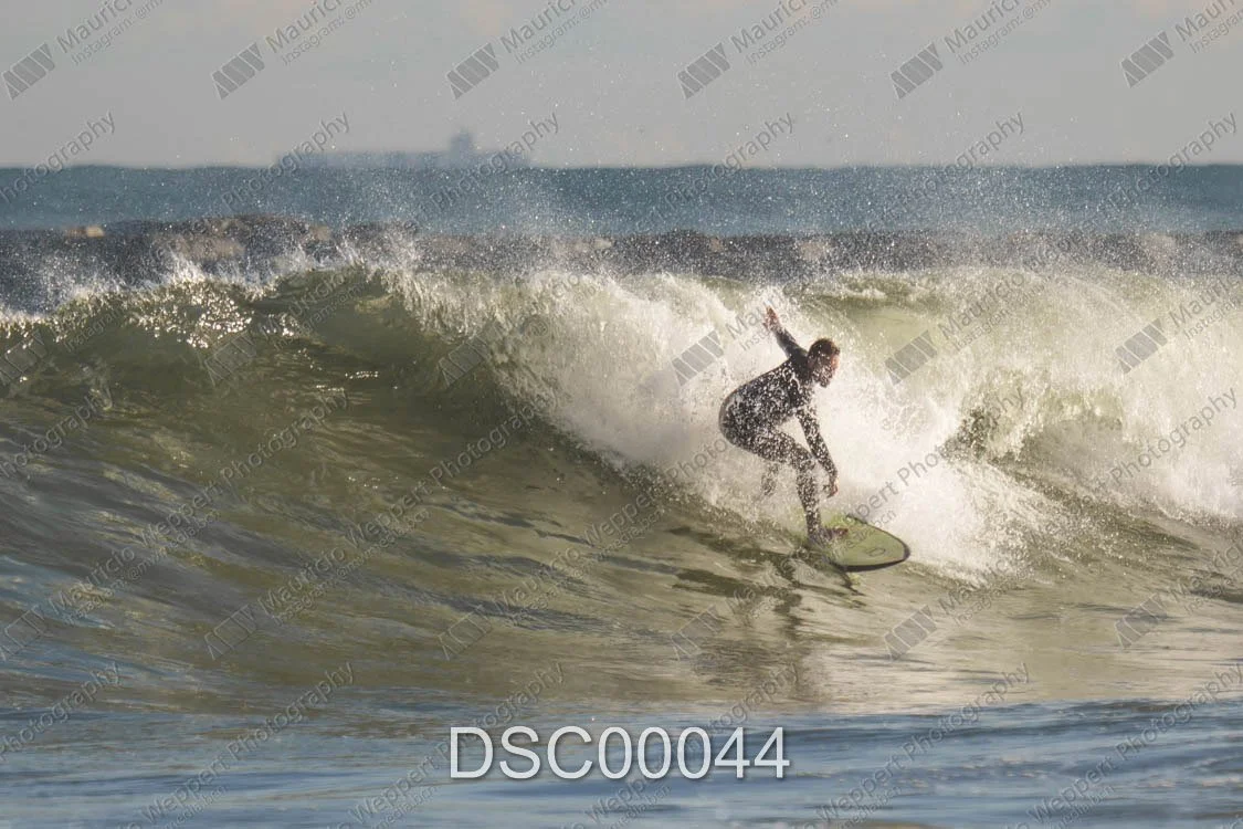 DSC00044.jpg