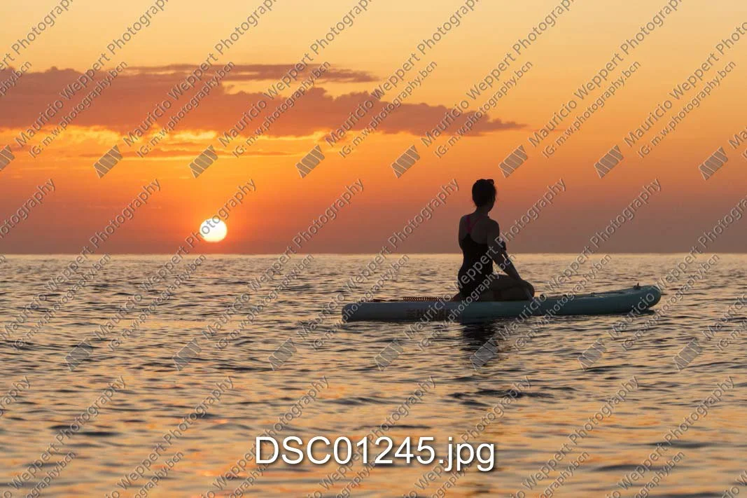 DSC01245.jpg