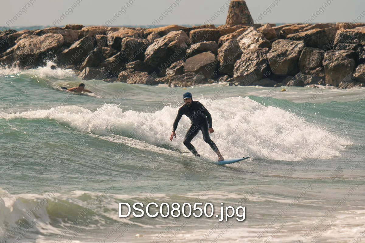 DSC08050.jpg