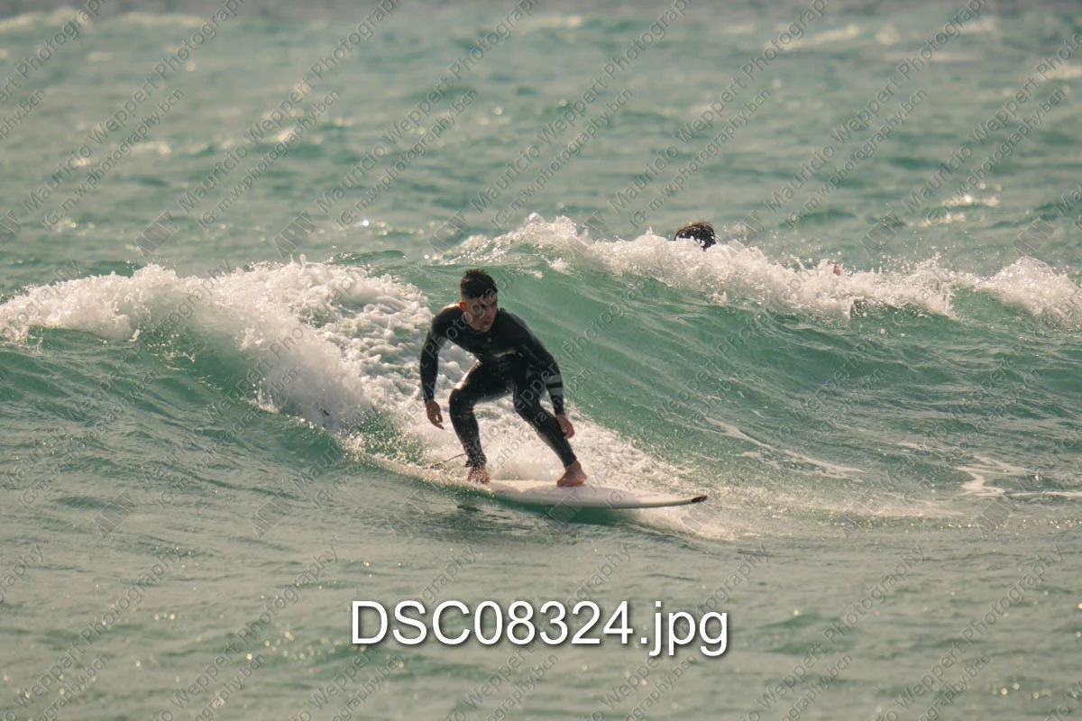 DSC08324.jpg