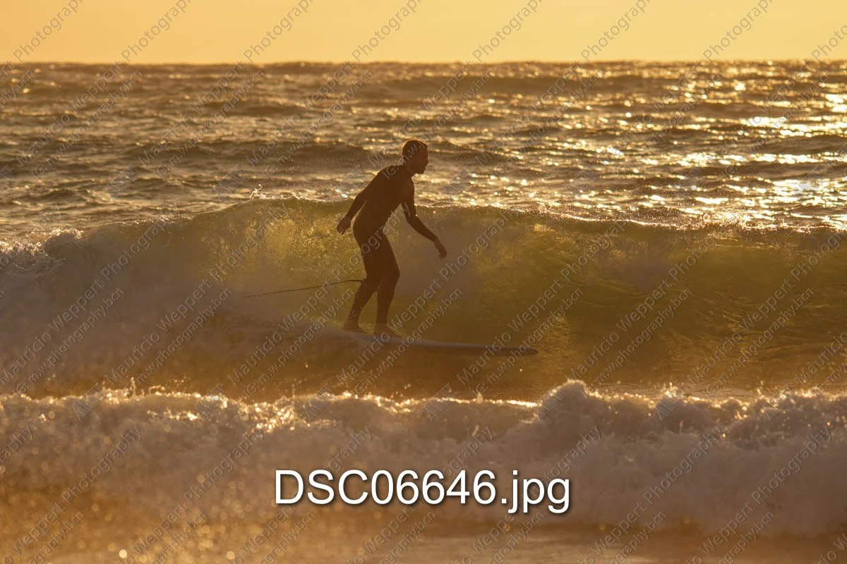 DSC06646.jpg