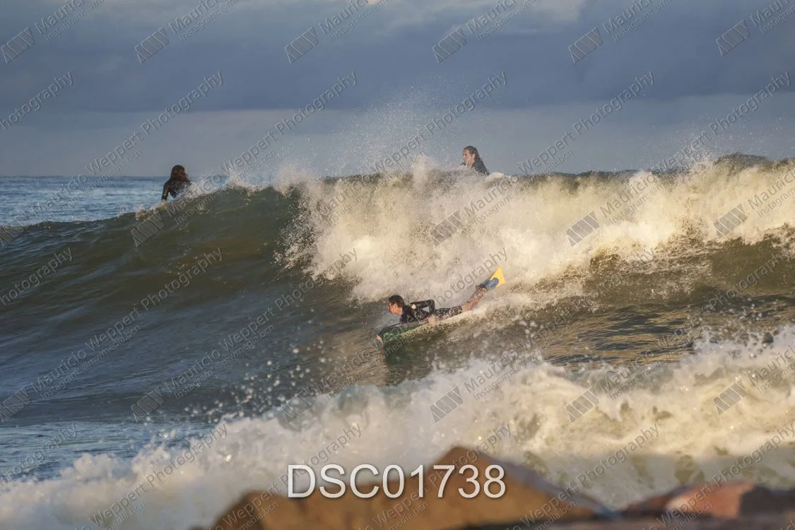 DSC01738.jpg