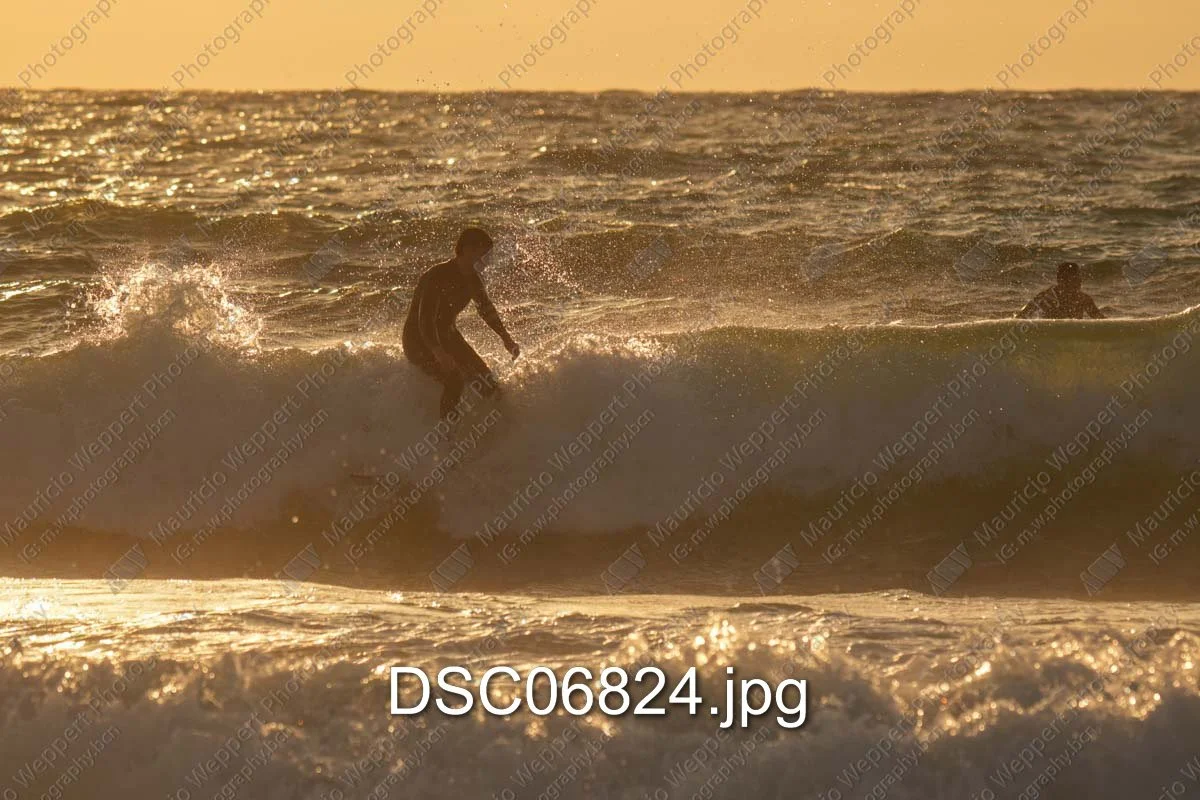 DSC06824.jpg