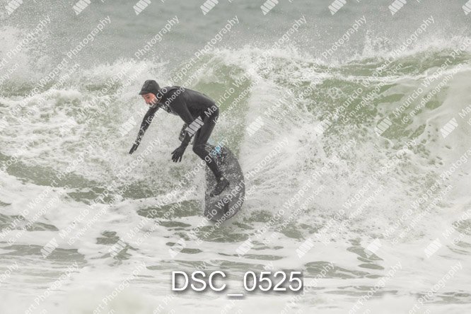 DSC_0525.jpg