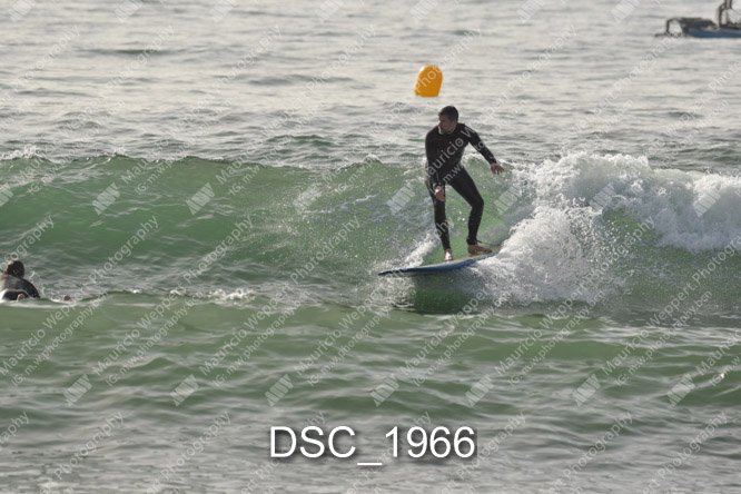 DSC_1966.jpg