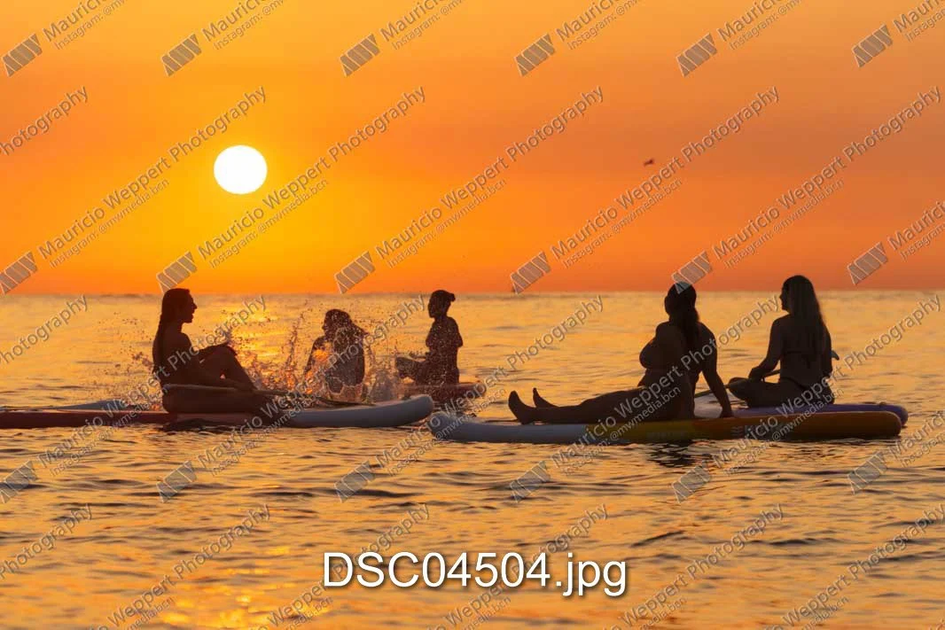 DSC04504.jpg