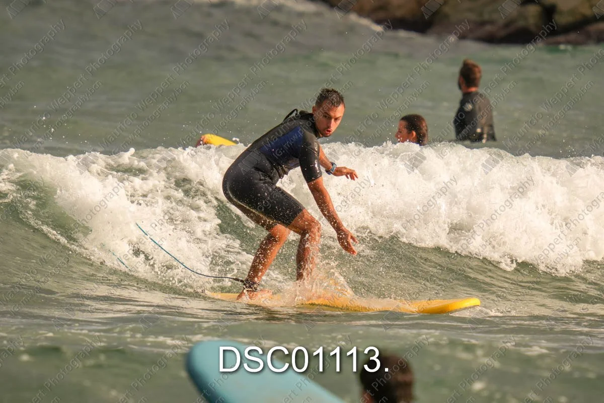 DSC01113.jpg