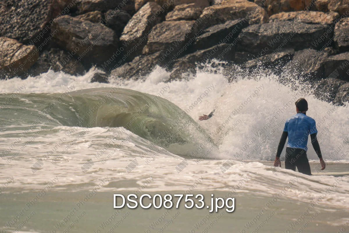 DSC08753.jpg