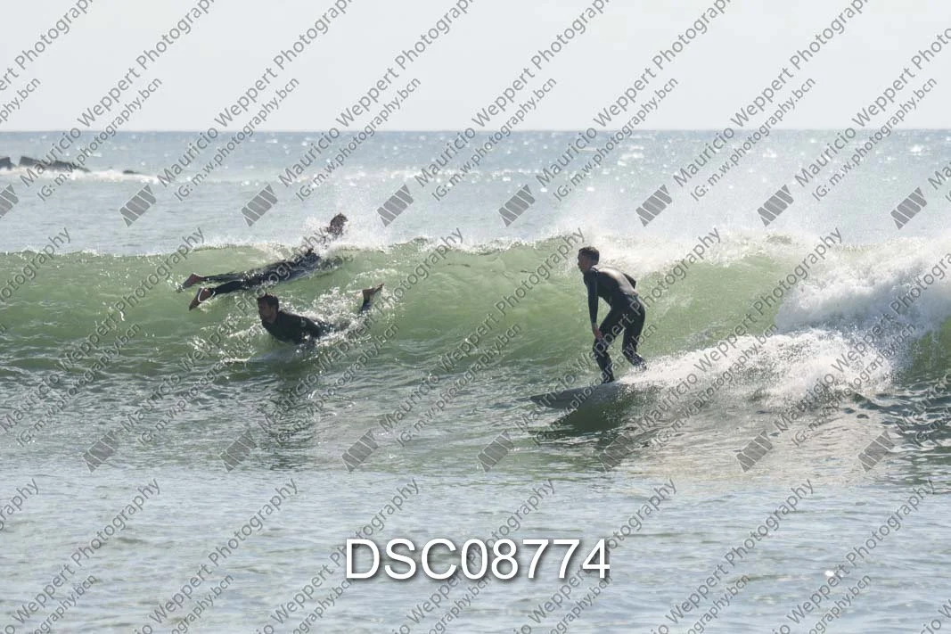 DSC08774.jpg