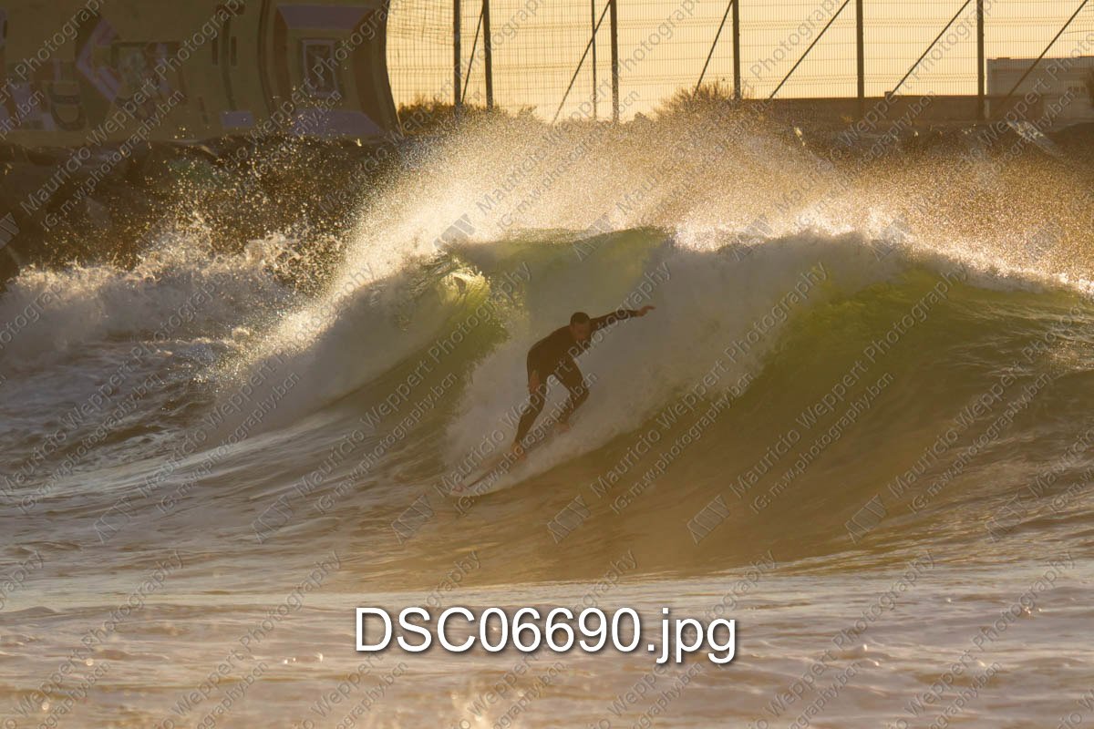 DSC06690.jpg