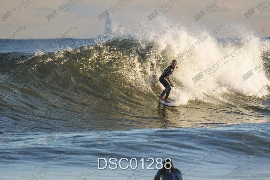 DSC01288.jpg