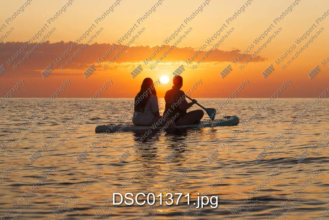 DSC01371.jpg