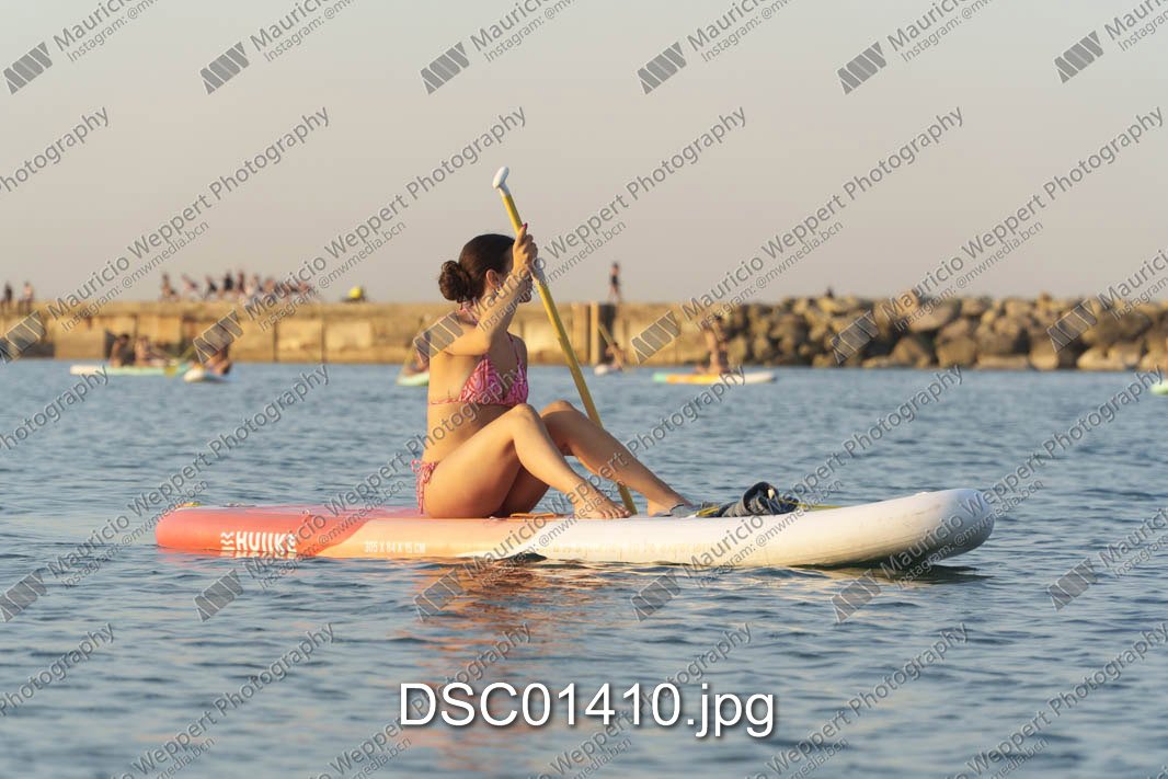 DSC01410.jpg