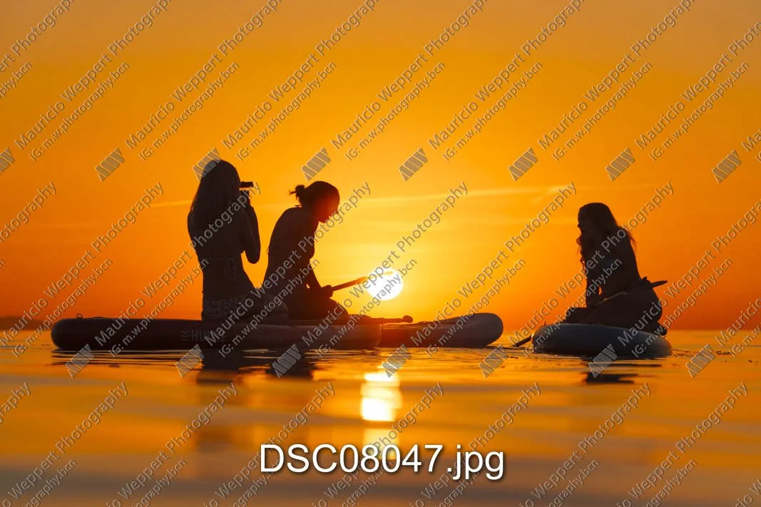 DSC08047.jpg