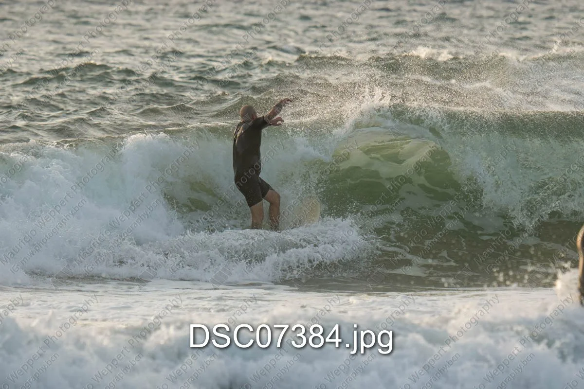 DSC07384.jpg