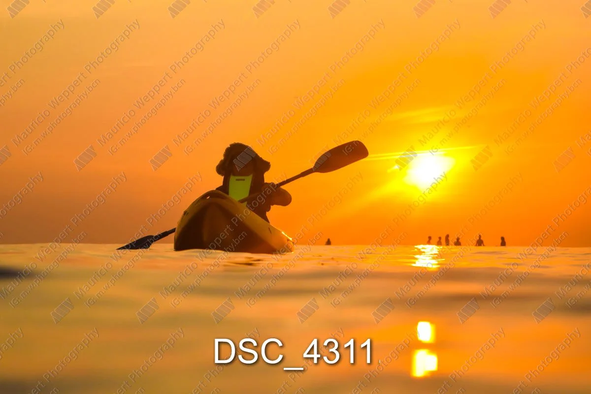 DSC_4311.jpg