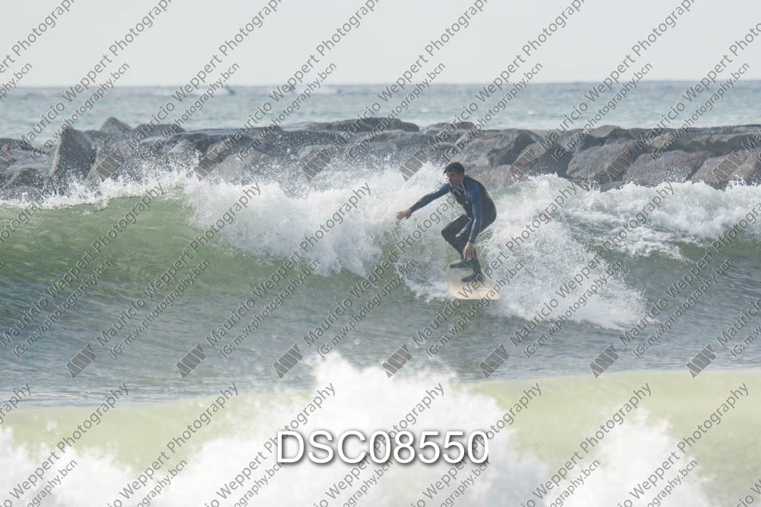 DSC08550.jpg