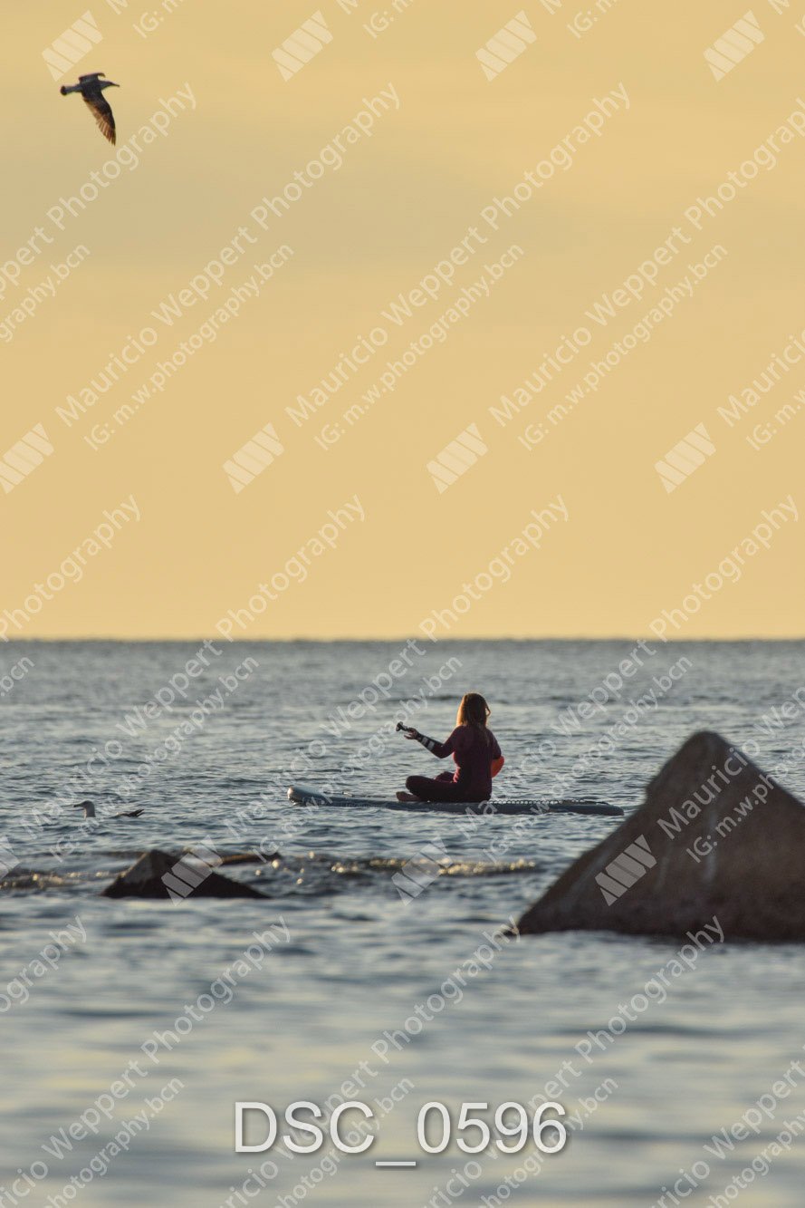 DSC_0596.jpg