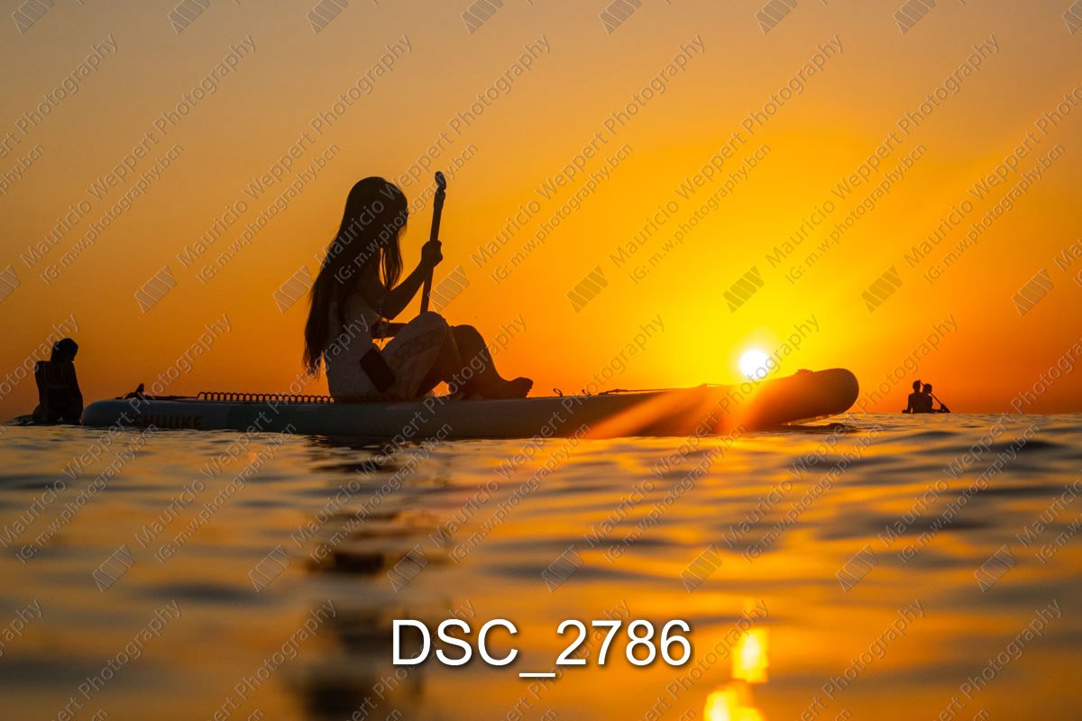 DSC_2786.jpg