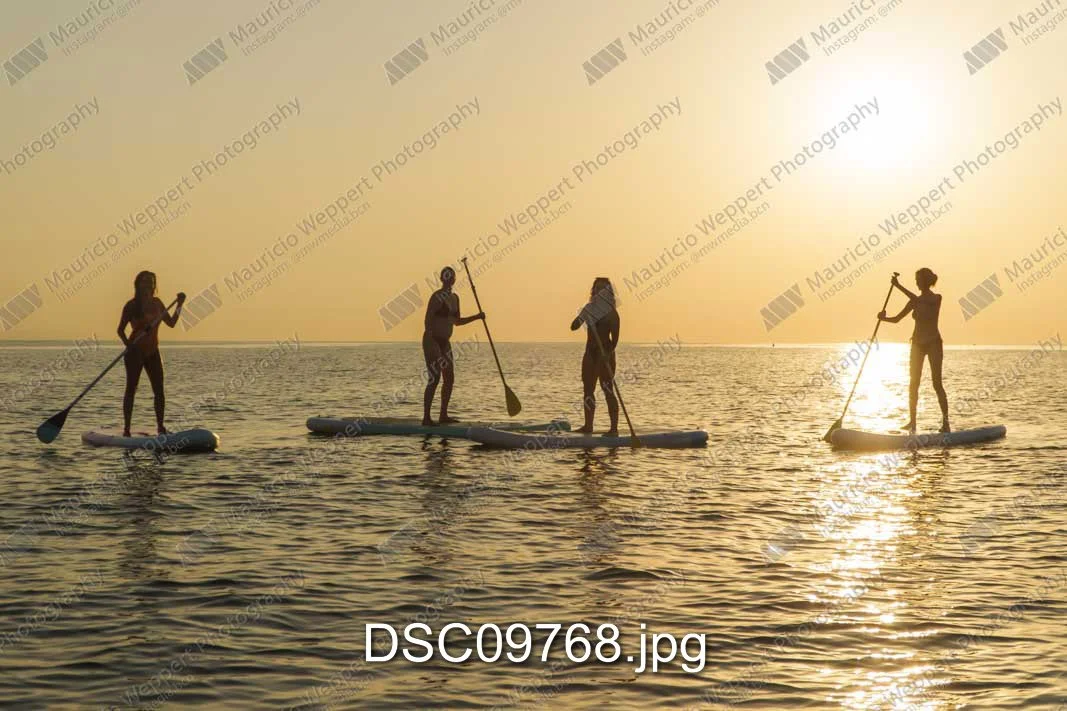 DSC09768.jpg