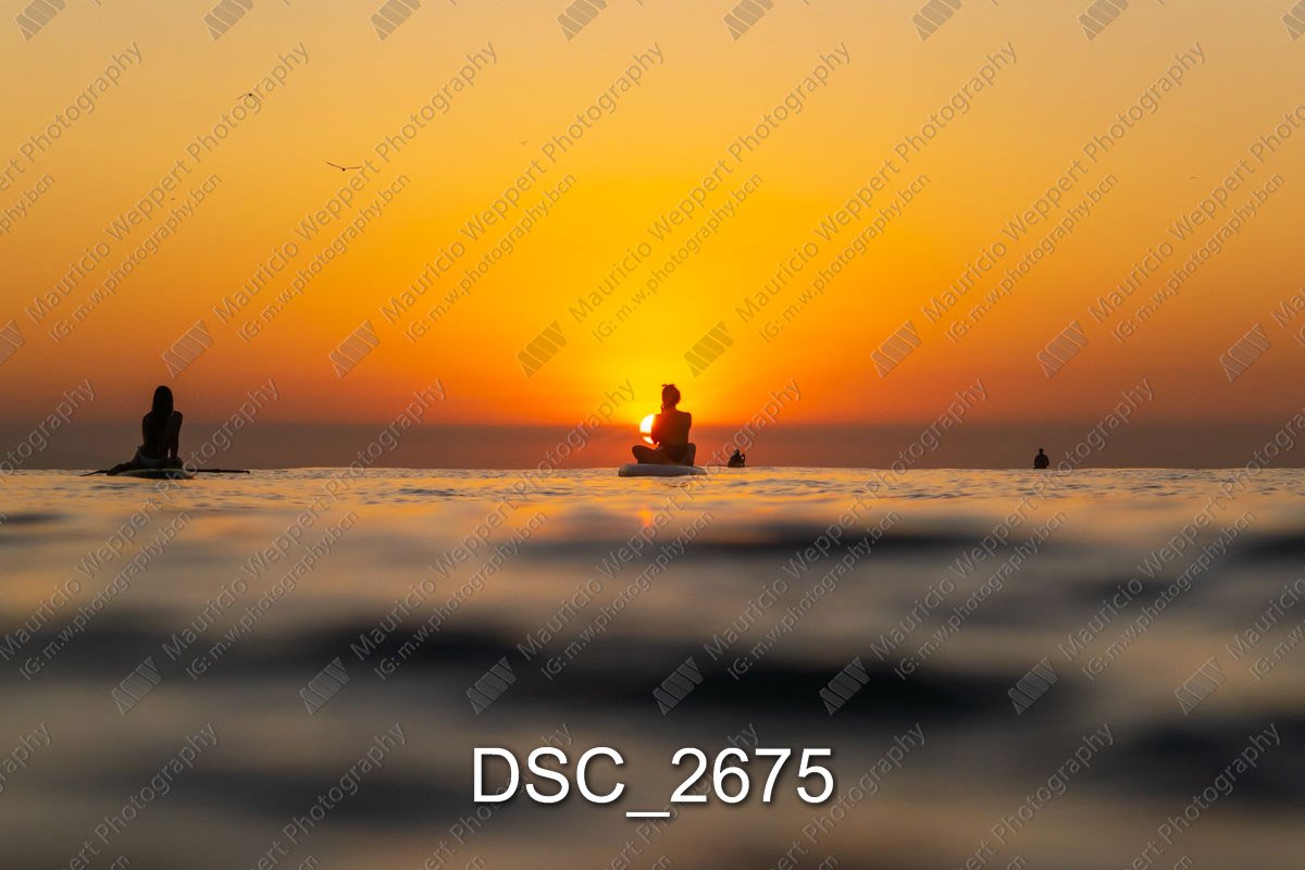 DSC_2675.jpg