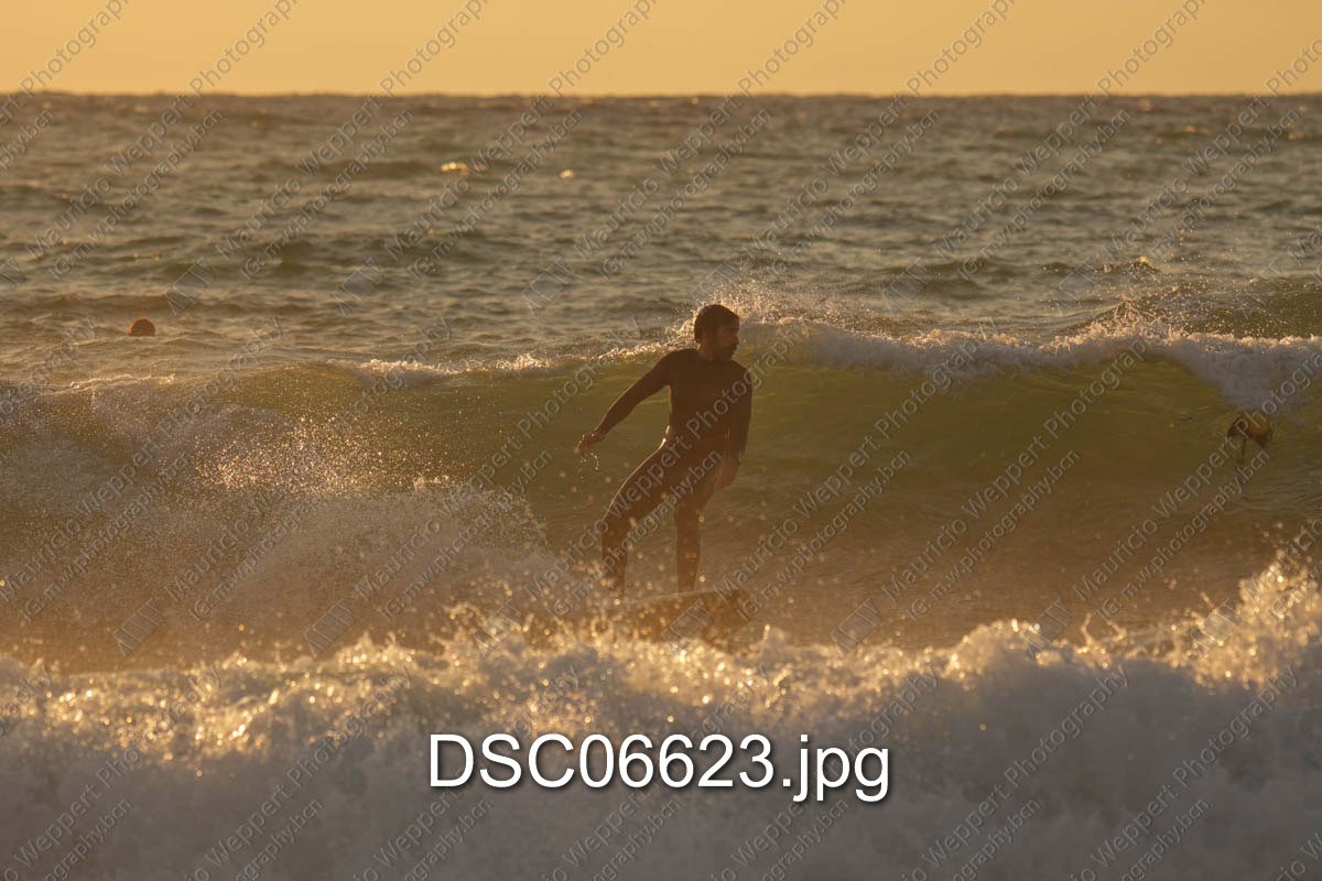 DSC06623.jpg